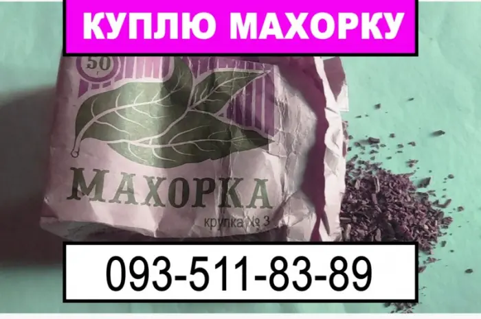 Махорка на закупку- фото № 1
