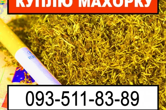 Махорка и другое по тютюну- фото № 1
