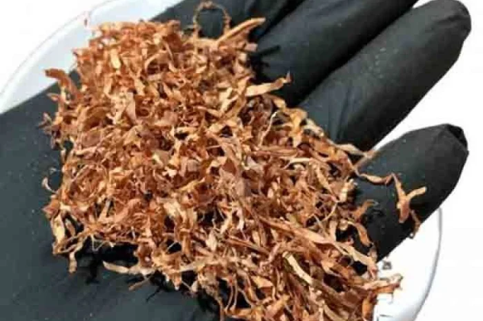 Тютюн високої якості за привабливими цінами. Гільзи- фото № 1