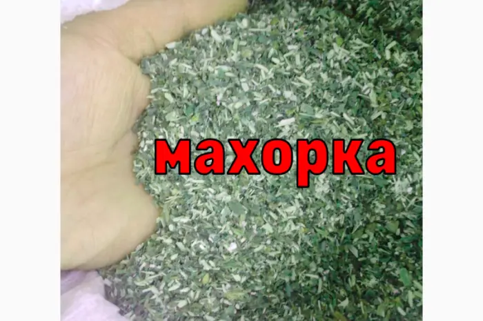 Домашня махорка- фото № 1