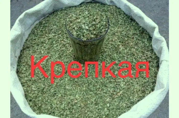 Махорка вищого сорту: ваш найкращий вибір- фото № 1