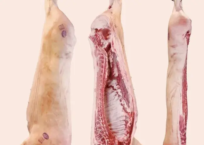Продам туші та півтуші свинини- фото № 1