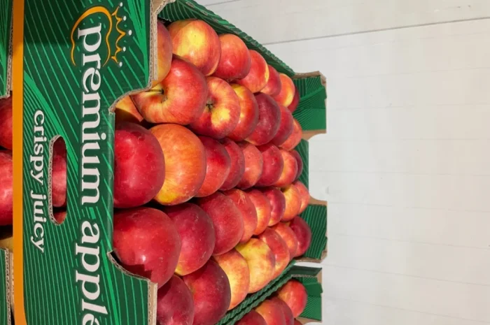 Продаются яблоки разных сортов- фото № 2