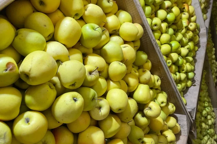 Продаются яблоки разных сортов- фото № 3