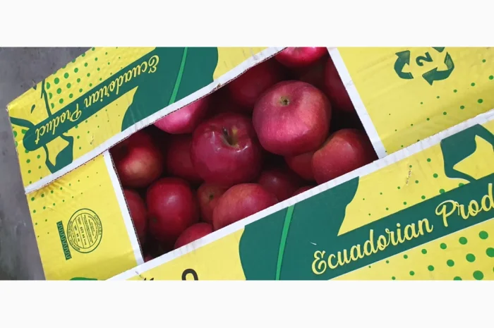 Яблука різних сортів у продажу- фото № 1