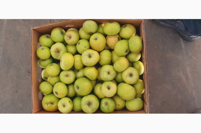 Яблука різних сортів у продажу- фото № 10