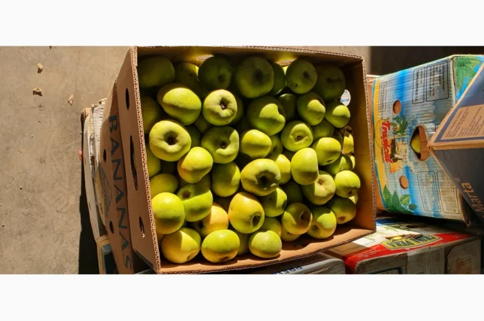 Яблука різних сортів у продажу- фото № 11