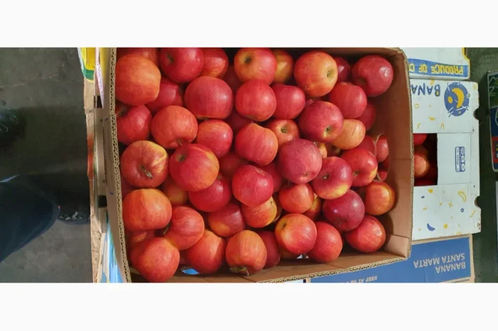 Яблука різних сортів у продажу- фото № 3