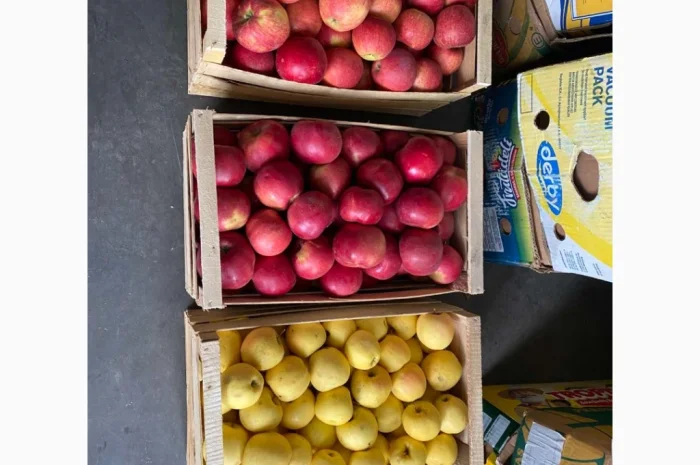 Яблука різних сортів у продажу- фото № 4