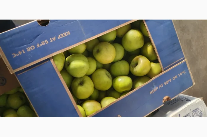 Яблука різних сортів у продажу- фото № 5