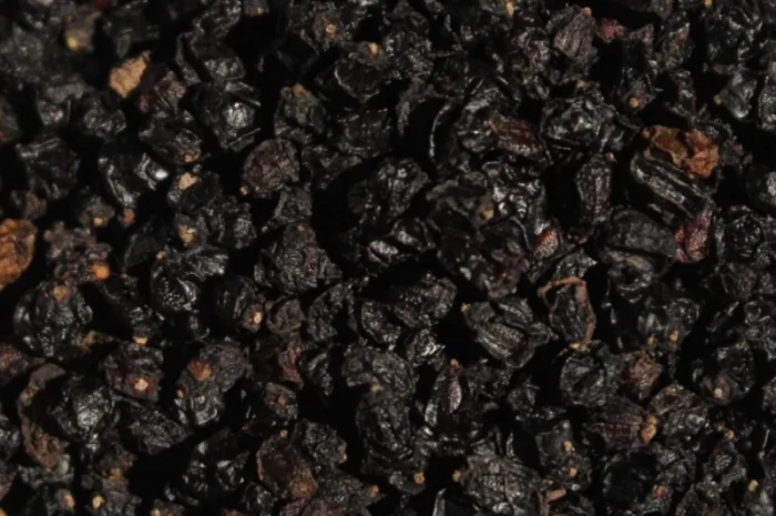 Продам сушену ягоду бузини- фото № 1