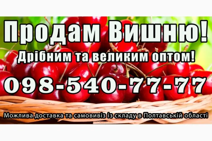 Реализую вишню 2025года- фото № 1