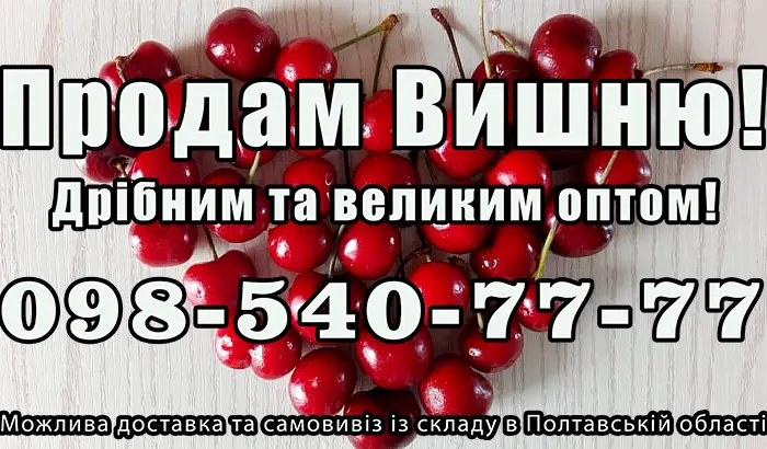 Реализую вишню- фото № 1