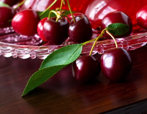 Підприємство здійснює заготовку вишні урожай 2025 року- фото № 1