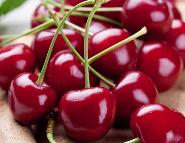 Закупляємо вишню!Високі ціни- фото № 1