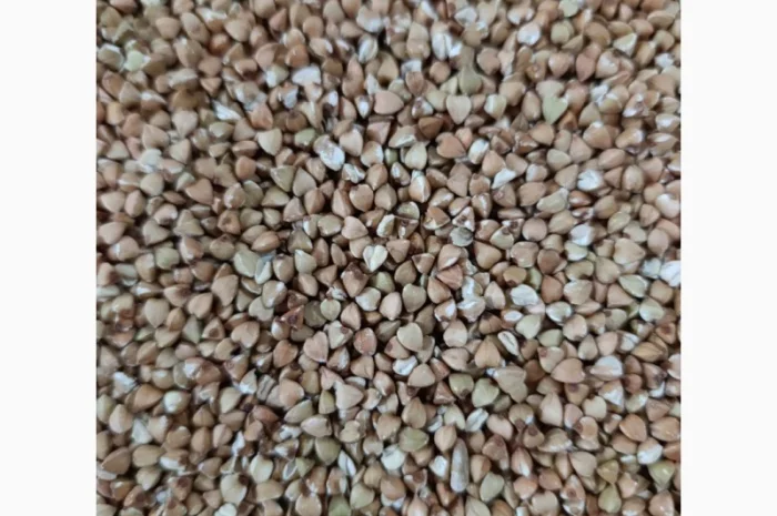 Продам гречку зелену- фото № 1