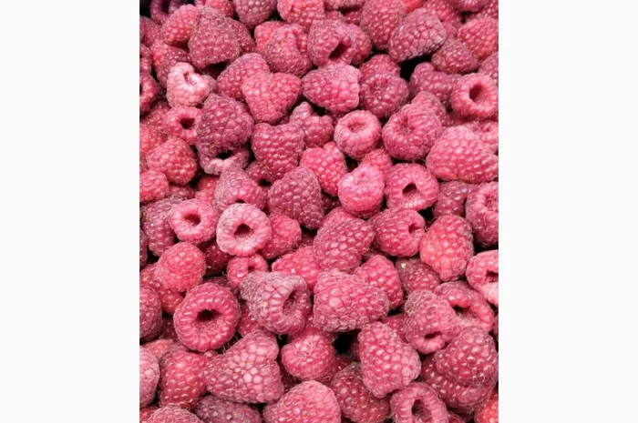 Закуповуємо малину оптом- фото № 1