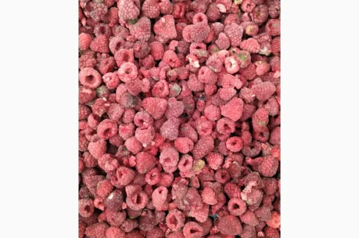 Продам заморожену малину оригінал- фото № 1