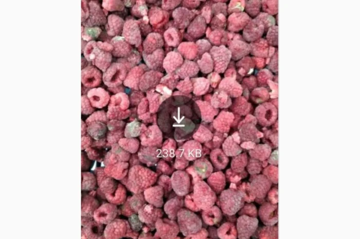 Продам заморожену малину оригінал- фото № 2