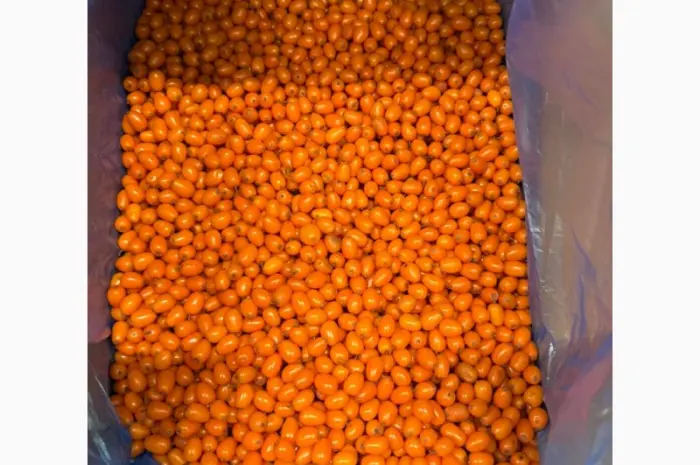 Продам Замороженную Ягоду Облепихи- фото № 1