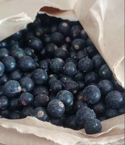 Продам смородину- фото № 1