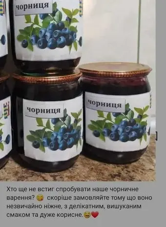 Сушеная черника- фото № 1
