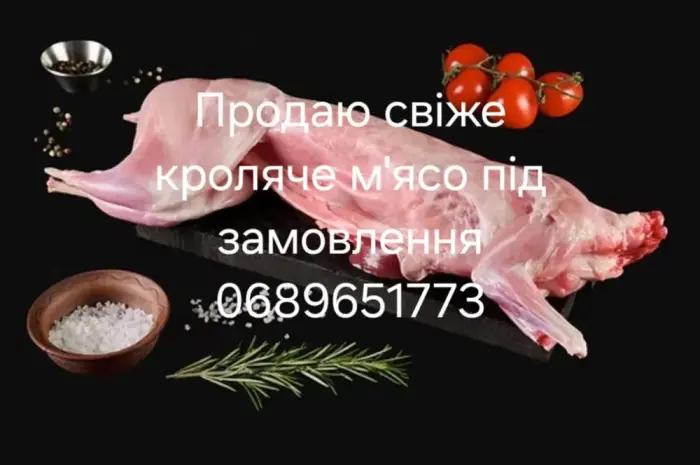 Продам кролики , кролячі тушки- фото № 1
