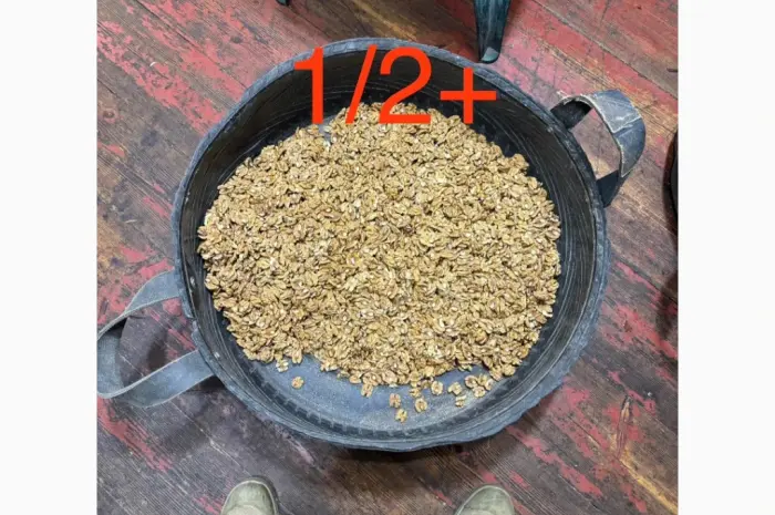 Продам ядро грецкого ореха 2- фото № 2