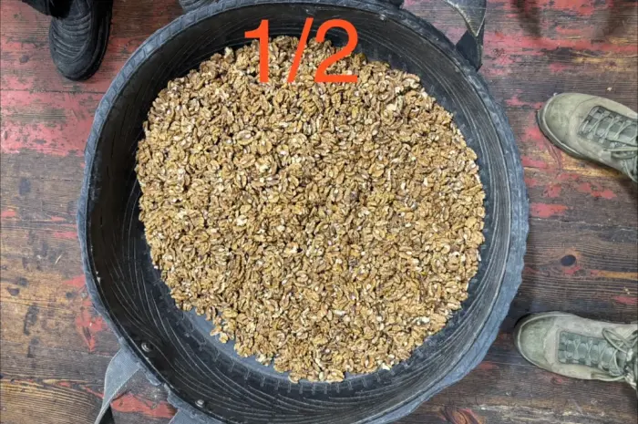 Продам ядро грецкого ореха 2- фото № 5