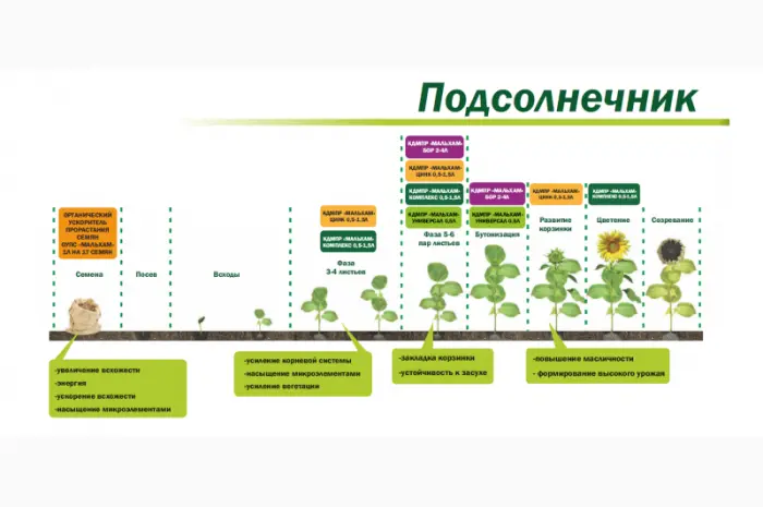 Органическое средство от сорняков «Глюмикрон»- фото № 5
