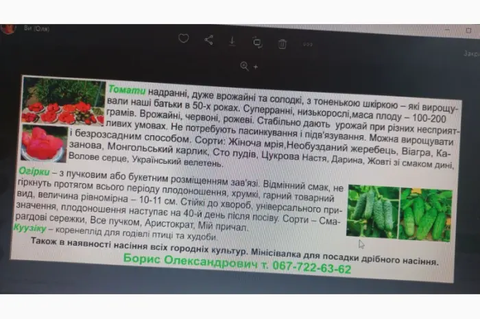 Семена овощных культур- фото № 1