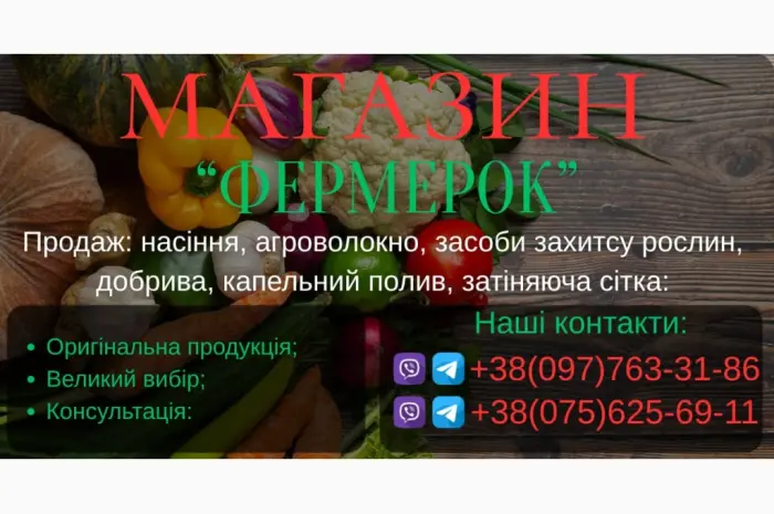 Продам семена овощей- фото № 1