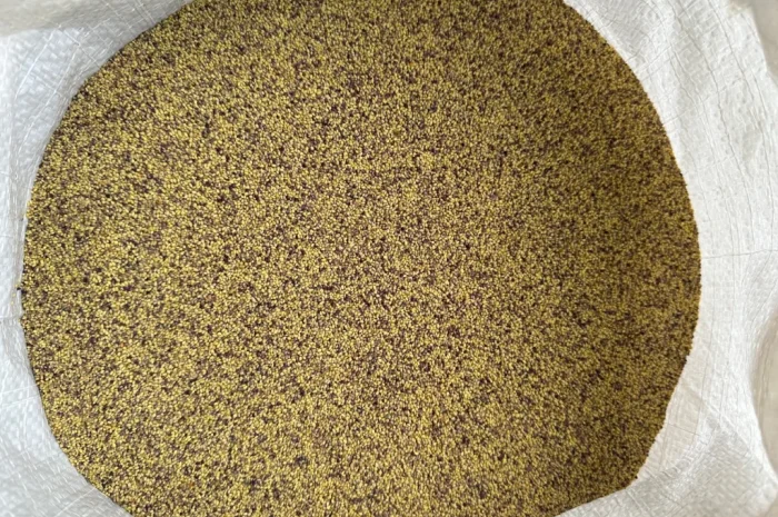 Продажа оптом семян конюшины- фото № 2