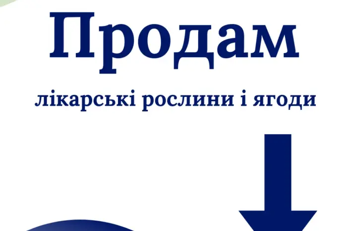Продам лікарські РОСЛИНИ | ОПТ (лік трави і ягоди)- фото № 1