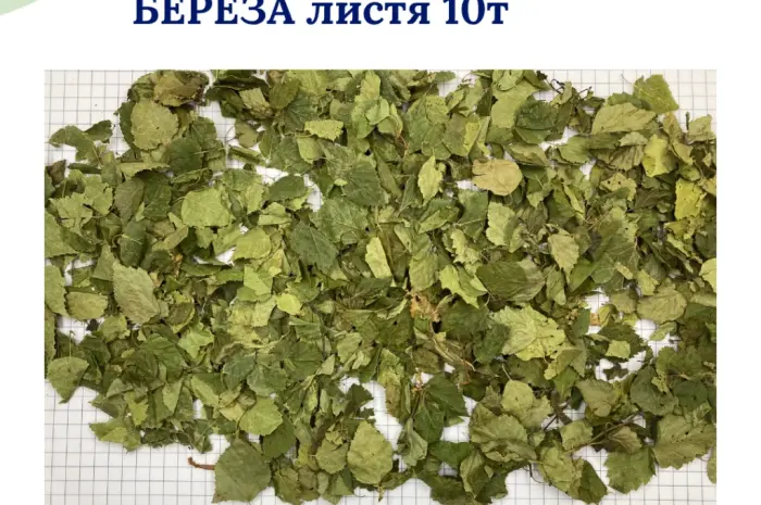 Продам лікарські РОСЛИНИ | ОПТ (лік трави і ягоди)- фото № 5
