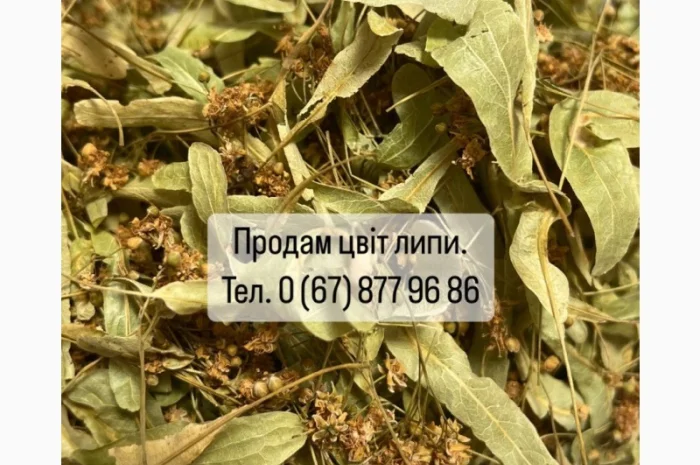 Продам цвіт липи. Ідеальний стан та зберігання- фото № 1