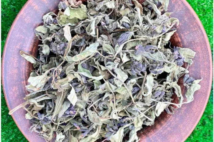 Медунка трава- фото № 1