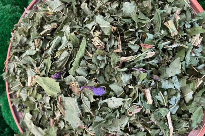 Сушений іван чай- фото № 2