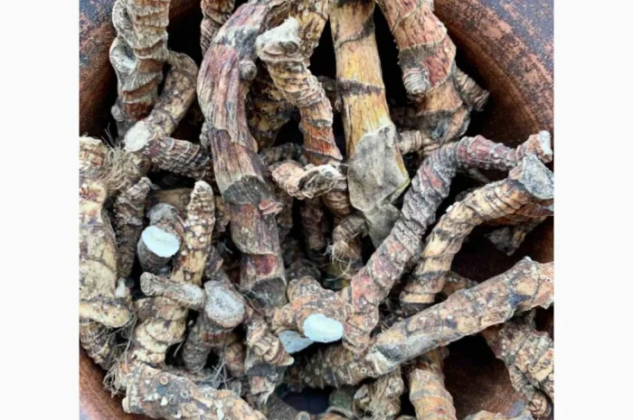 Аір- фото № 3