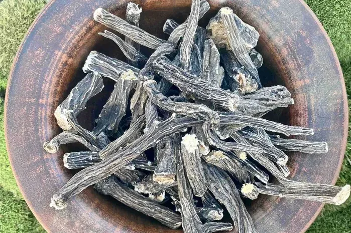 Лопух- фото № 2