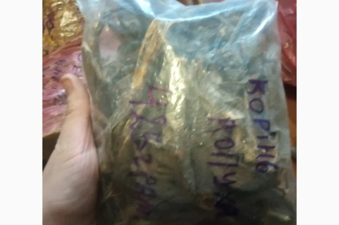 Лікарскі Рослини- фото № 12