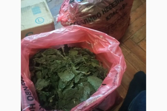 Лікарскі Рослини- фото № 6