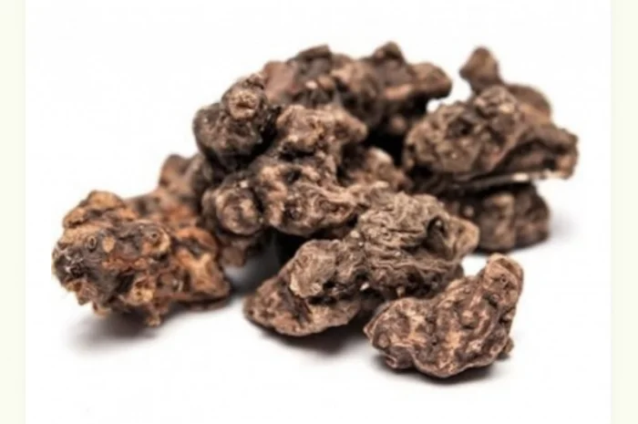 Куплю корінь калгана(сирий)- фото № 2