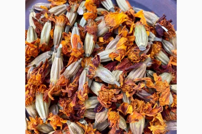 Сушені чорнобривці- фото № 2