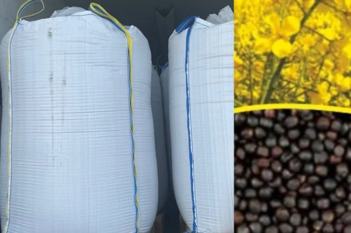 Біг бег мішок тара- фото № 4