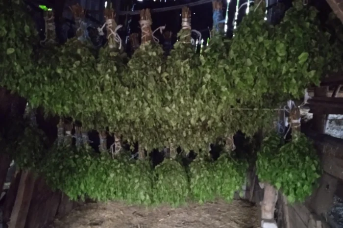 Продается банный веник из березы- фото № 2