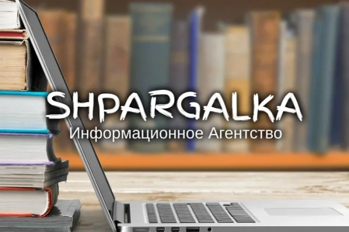 Дипломная работа по программированию на заказ в Днепре- фото № 1