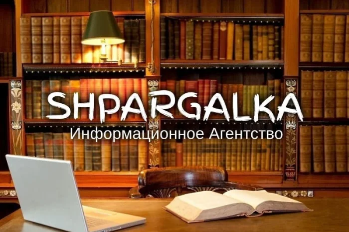 Разработка стартап-проекта для бакалаврской работы в Днепре- фото № 1