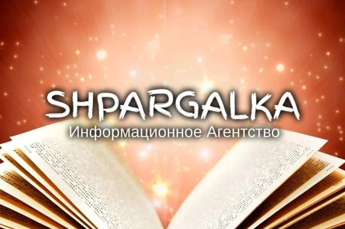 Разработка стартапа для бакалаврской работы на заказ- фото № 1