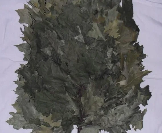 Заготовка качественных банных веников- фото № 2